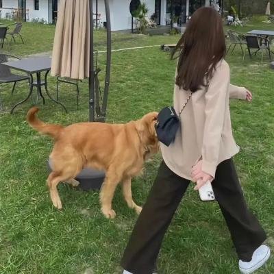 奇形怪物 第二季